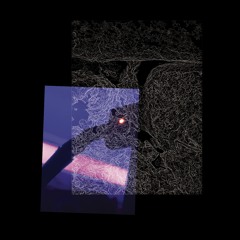 013noche "VERVE" MIX