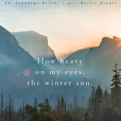 How Heavy / on my eyes, / the winter sun (naviarhaiku214)
