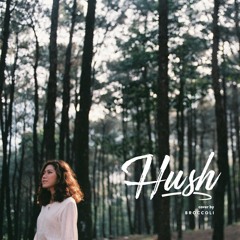 Hush - Lasse Lindh (Broccoli Cover)