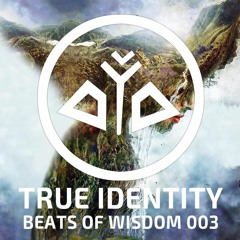 True Identity - Beats of Wisdom 003 Mother Earth(1,5hr Live DJ Set 432hz Ecstatic Dance Music)