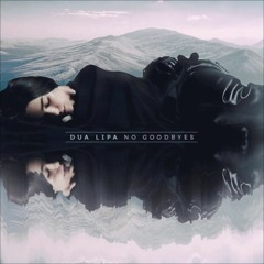 Dua Lipa - No Goodbyes (Instrumental)