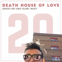 Grooves and Tunes, Volume Twenty