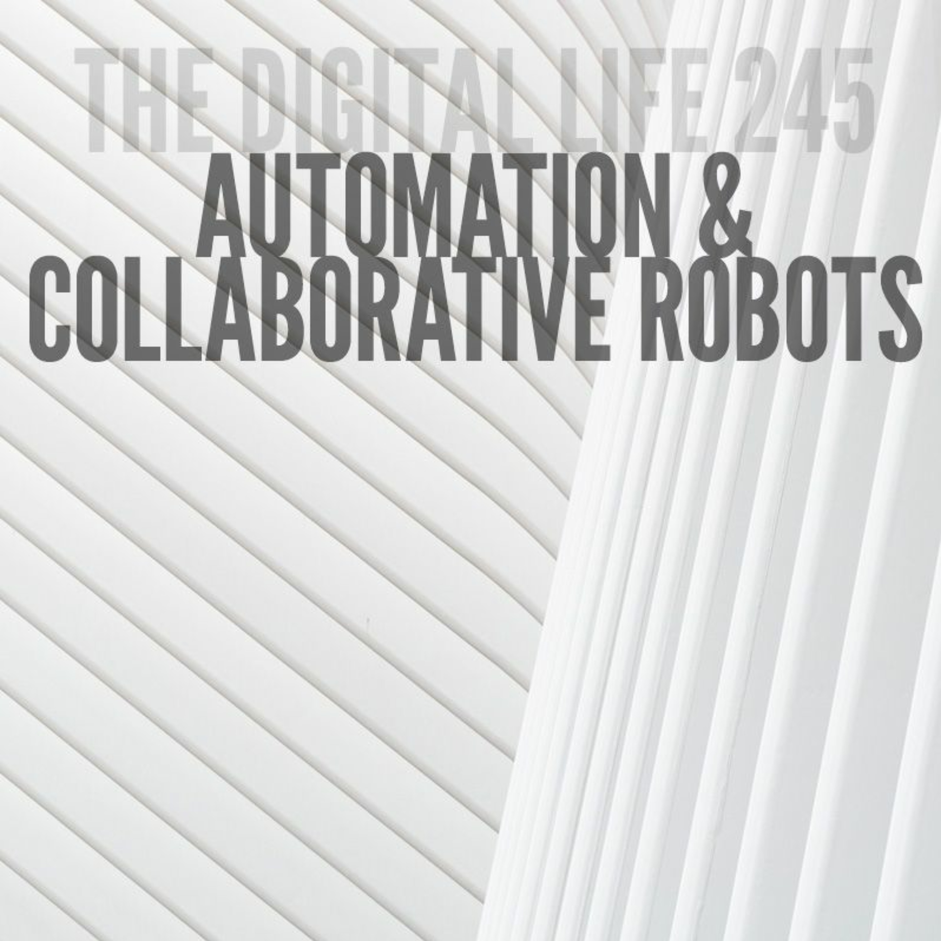 The Digital Life - Design and Technology Podcast