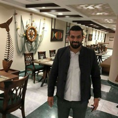 احمد عامر الف خااين من ثوره البطل حسن كتكوت