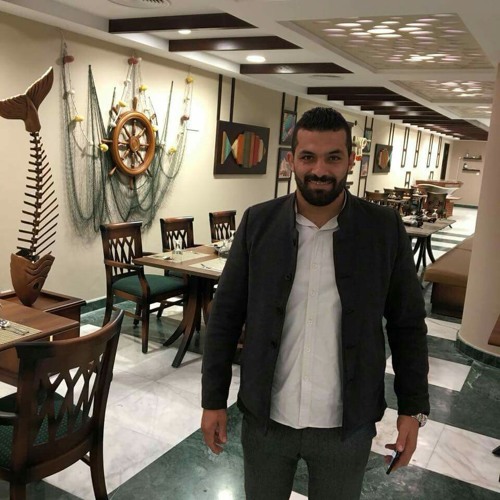 احمد عامر الف خااين من ثوره البطل حسن كتكوت