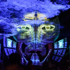 Electrypnose @ Fractalfest 2017 (Progressive Set)