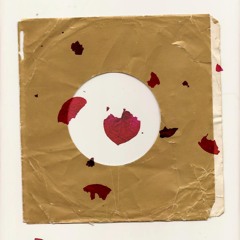 Travis Sunny X Shye Yen - Lover Boy