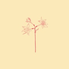 Daniel Caesar - Blessed/Best Part ft H.E.R (Cover)