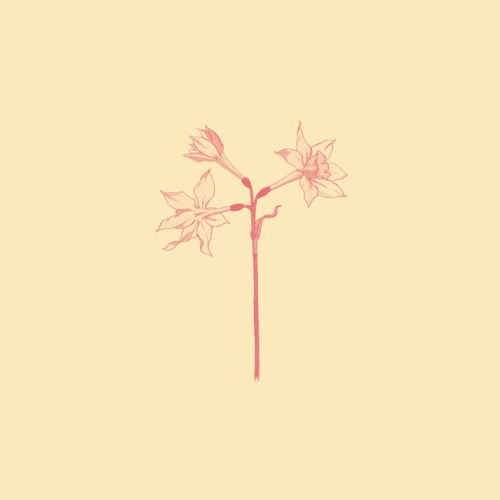 Daniel Caesar - Blessed/Best Part ft H.E.R (Cover)