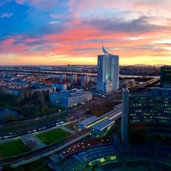 Yann Tiersen - La Dispute (Accordion Cover)
