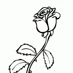 single rose