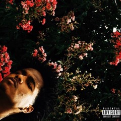 Show Me How (ft Bradford Evans)