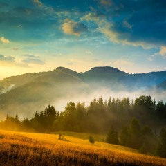 Amadeus - Future World