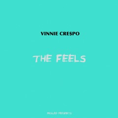 The Feels (Prod. by Steve Spiffler)