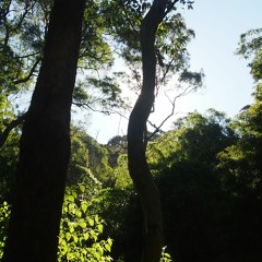 Driving Nails In My Coffin