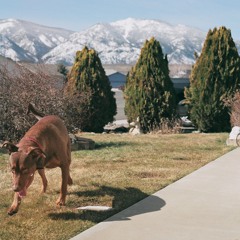 Everything,Ends. Full [EP]