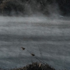 My Funny Valentine 180214