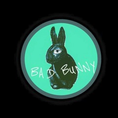 Bad Bunny Amorfoda (Naj Remix)