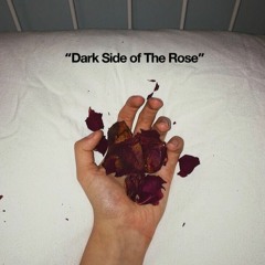Dark Side of The Rose