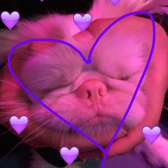 from: steeng         to: u