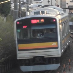 Encounter - Nambu Line Series 205 Last Run-