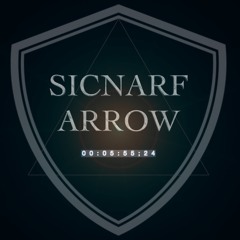 VALVE - SICNARF x ARROW