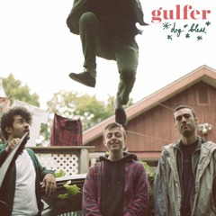 Gulfer - Baseball