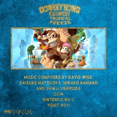 Secret Temple 1 (DK Island Swing Returns Again) // Donkey Kong Country: Tropical Freeze (2014)