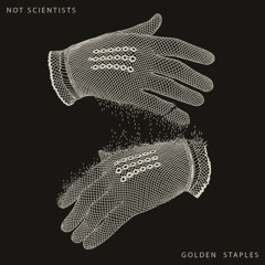 Not Scientists - Perfect World