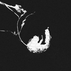 Mvsta - Death