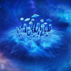 DufikkTekk - NeuroTekk Šílenství