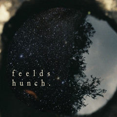 FEELDS - Apples