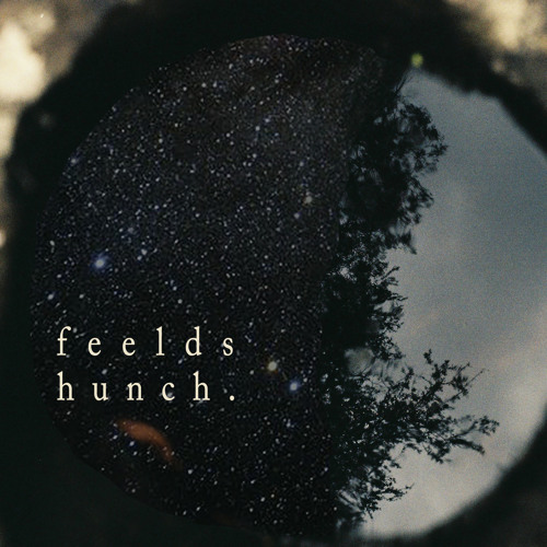 FEELDS - Apples