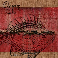 EP (Duplicate Records, 2009)