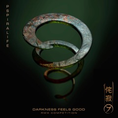Pspiralife - Darkness Feels Good- (Space Organ Rmx)
