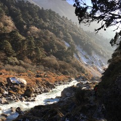 Sound Walk (on The Way To Torongden From Tsairam, Kanchenjunga Conservation Area, Nepal)