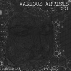 102698 - 120117