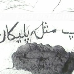 پ مثل پلیکان - مریم