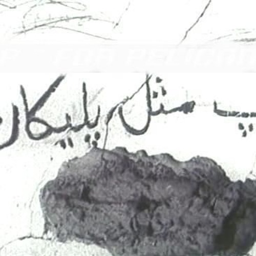پ مثل پلیکان - مریم