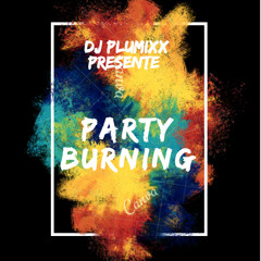 Party Burning - Dj Plumixx