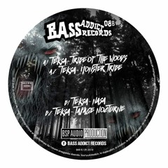 Teksa - NASA  [Bass Addict Records 08]