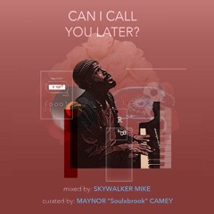 Can I Call You Later? (Mix)