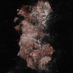 Dasselbe In Fein Poliertem Kaestchen Etwas Teurer