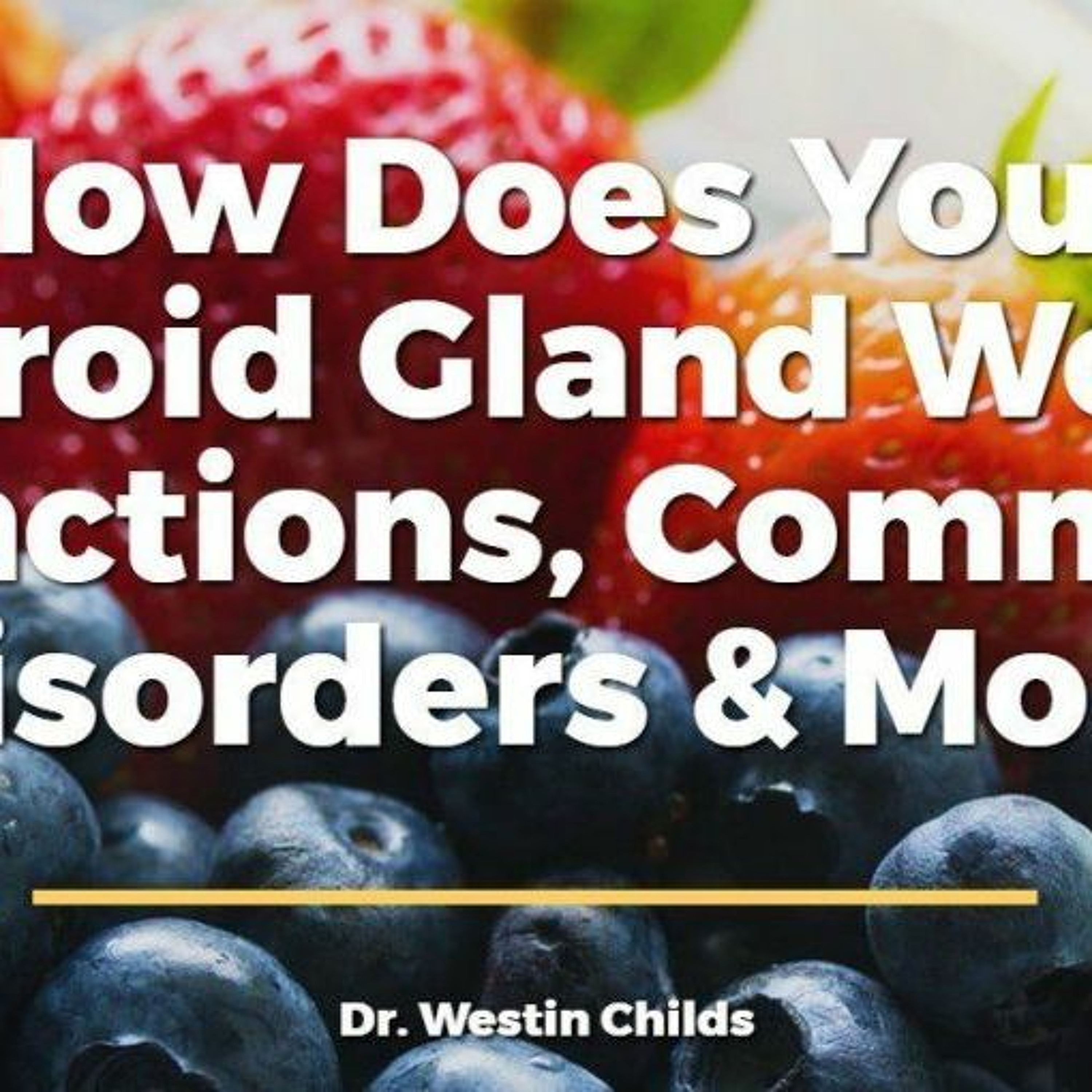 How Does the Thyroid gland Work?
