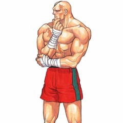 Street Fighter II - Sagat's Theme - Arranged Cover -