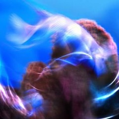 Feel The Energy (Unf 2014)