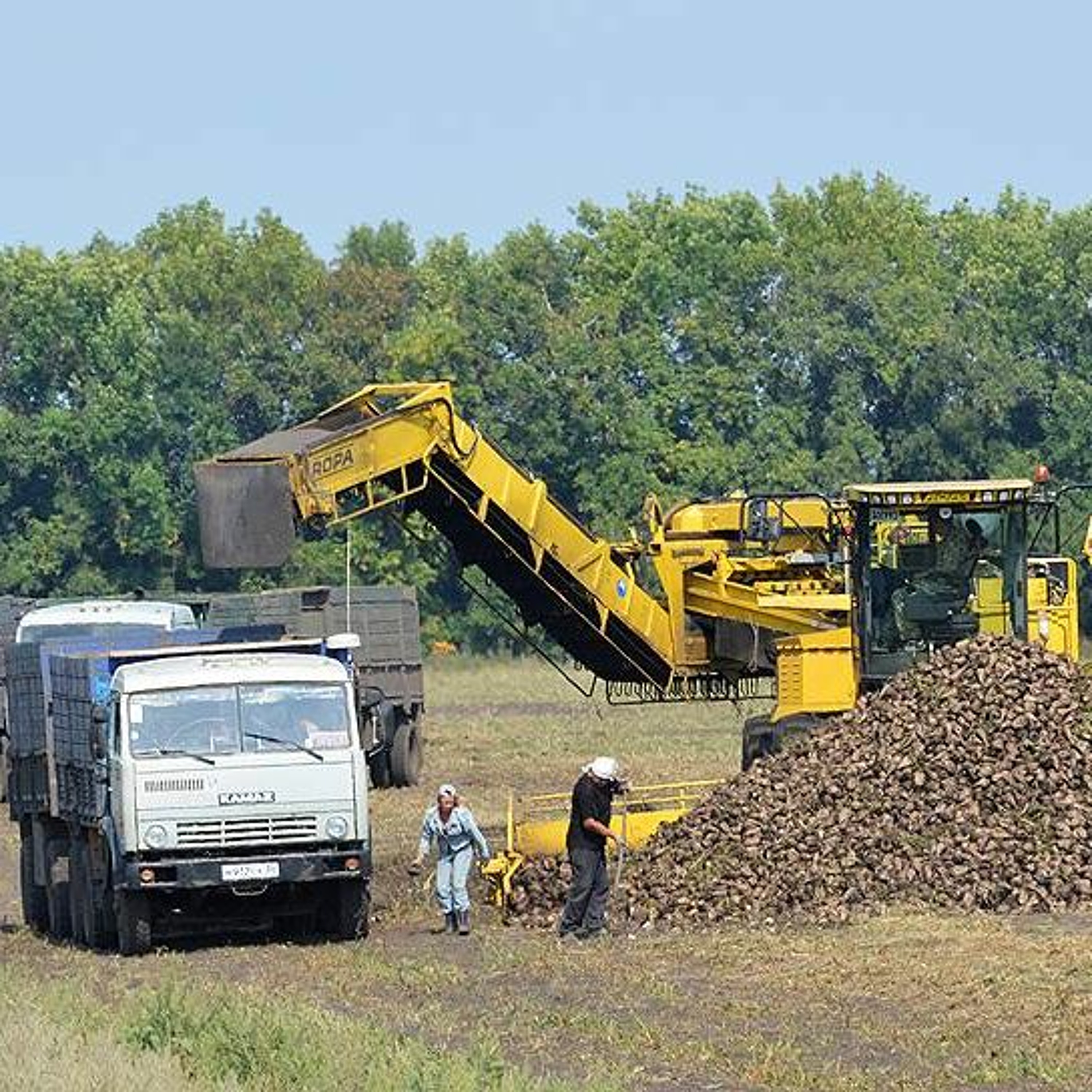 Заводам прибавят сырья