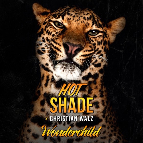 Hot Shade X Christian Walz - Wonderchild