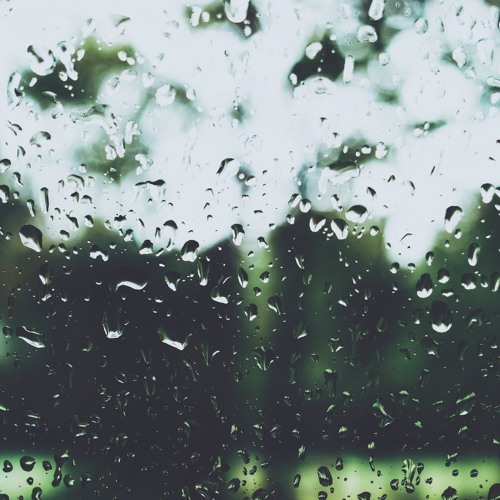 DGAF ft. Shiloh Dynasty