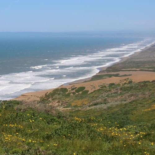 Tsunami alert point reyes